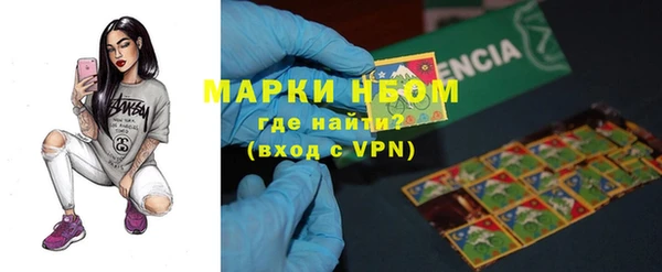 сатива Аркадак