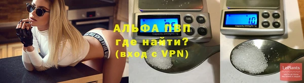 сатива Аркадак