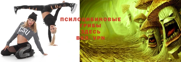 сатива Аркадак